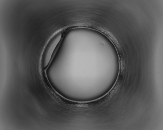 X0000086780628200705111755