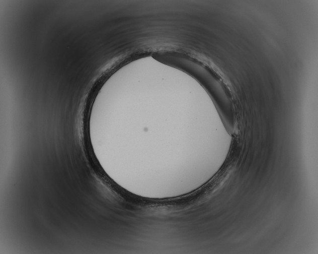 X0000086780629200705111755