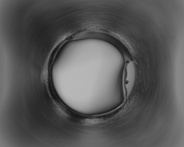 X0000086780630200705111755