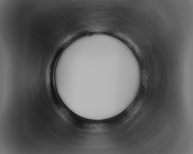 X0000086780631200705111755