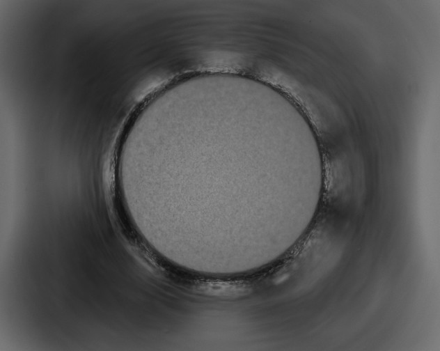 X0000086780632200705111755