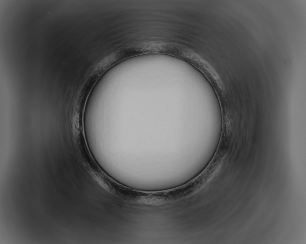 X0000086780633200705111755