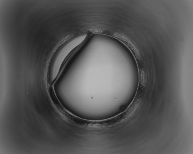 X0000086780634200705111756