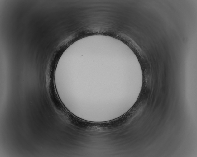 X0000086780635200705111756