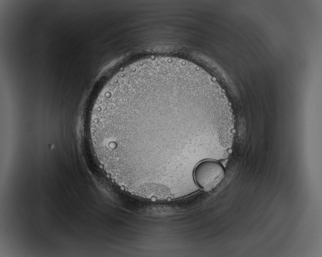 X0000086780636200705111756