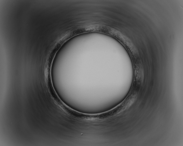 X0000086780637200705111756