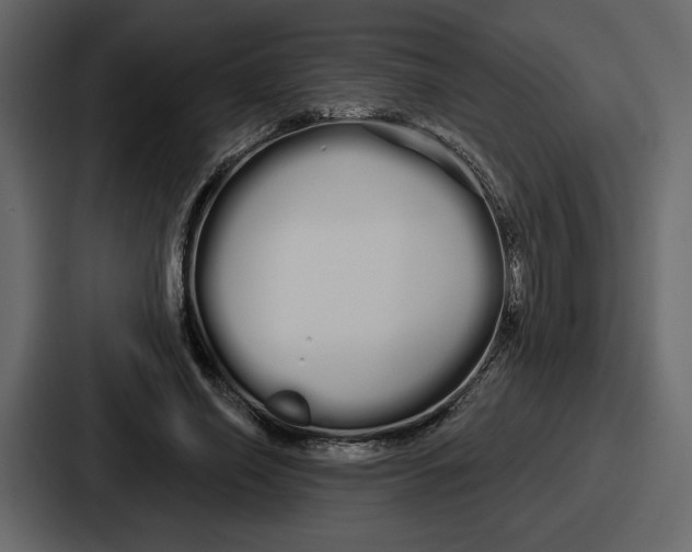 X0000086780638200705111756