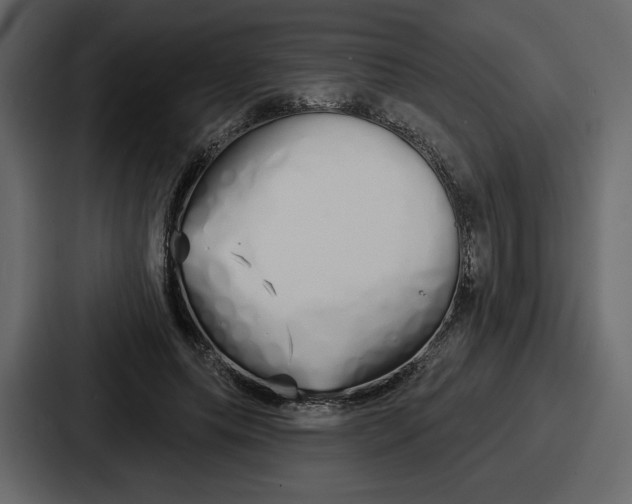 X0000086780639200705111756