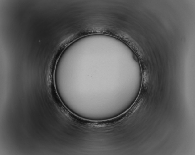 X0000086780640200705111756