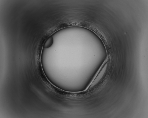 X0000086780641200705111756