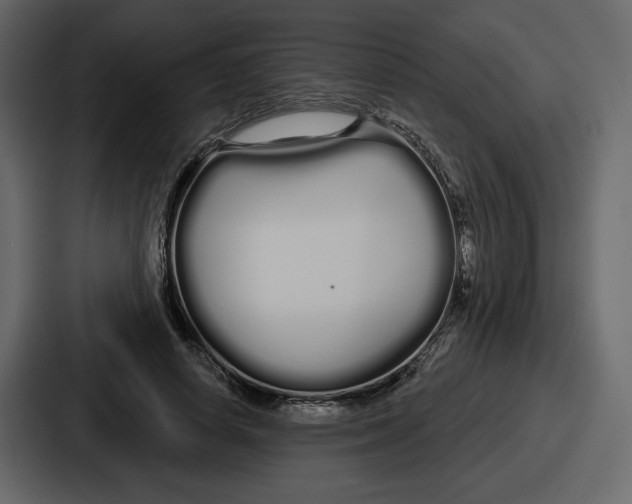 X0000086780642200705111756