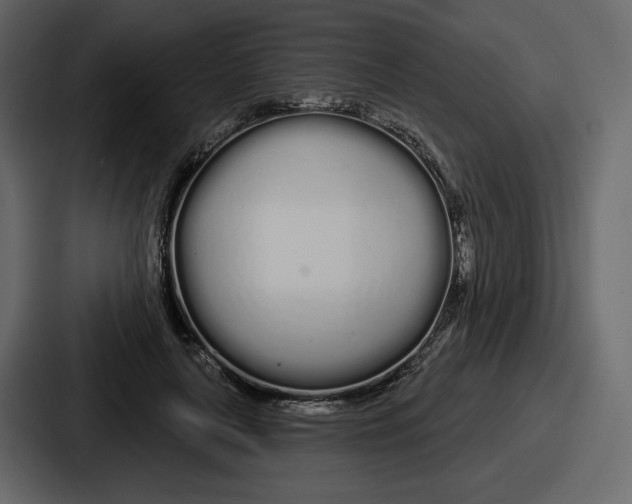 X0000086780643200705111756