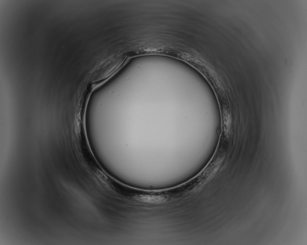 X0000086780644200705111756