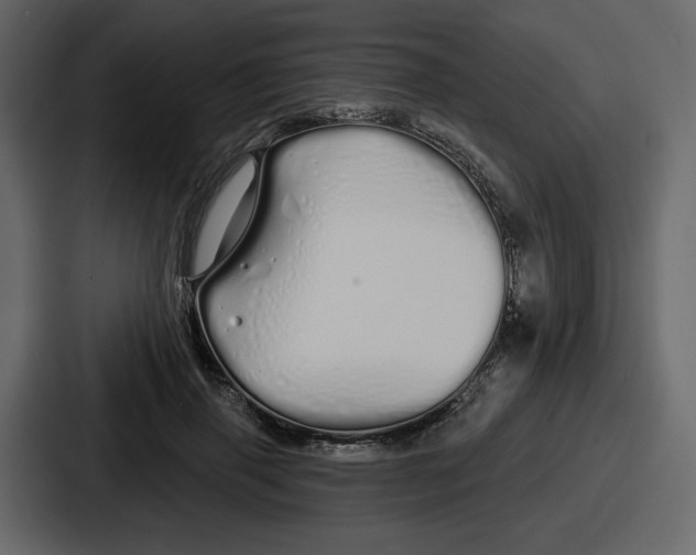 X0000086780645200705111756