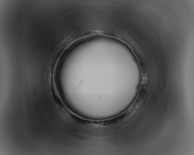 X0000086780648200705111756