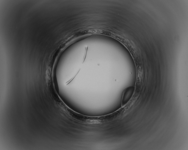 X0000086780649200705111756