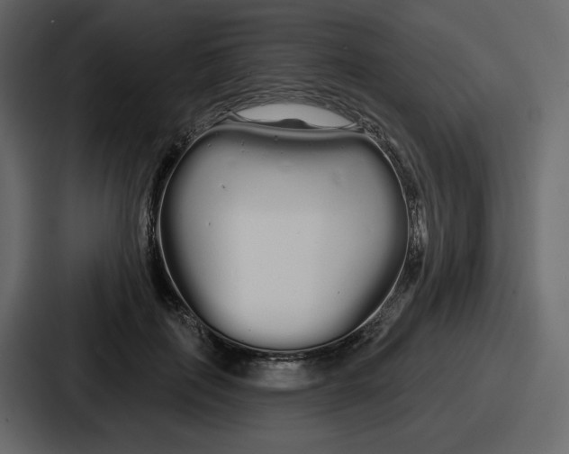 X0000086780651200705111756