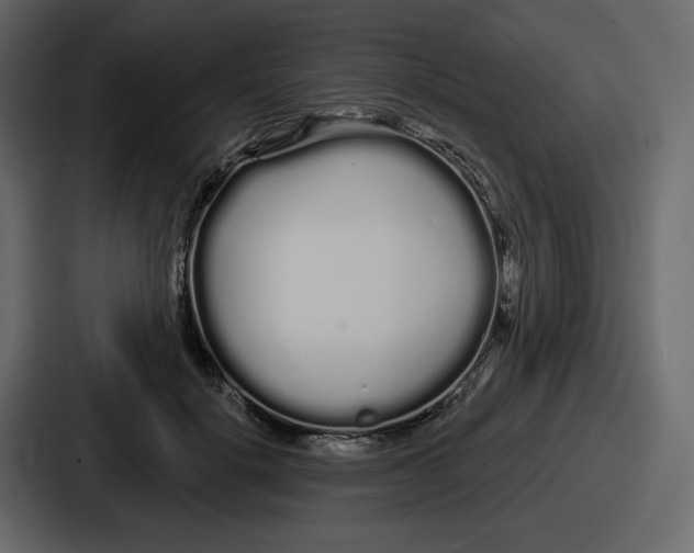 X0000086780652200705111756