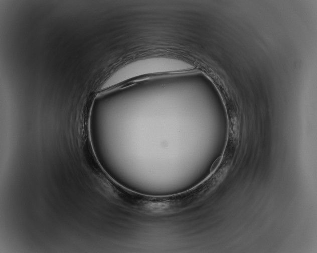 X0000086780653200705111756