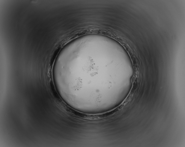 X0000086780654200705111756