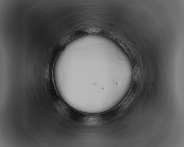 X0000086780655200705111756