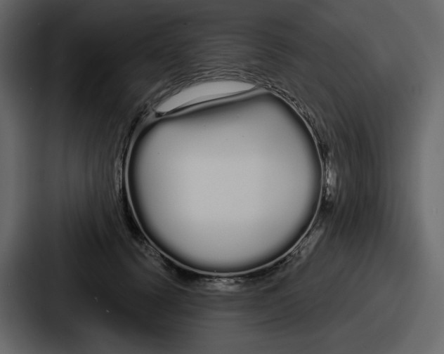 X0000086780656200705111756