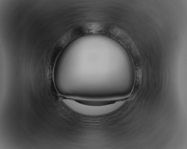 X0000086780657200705111756