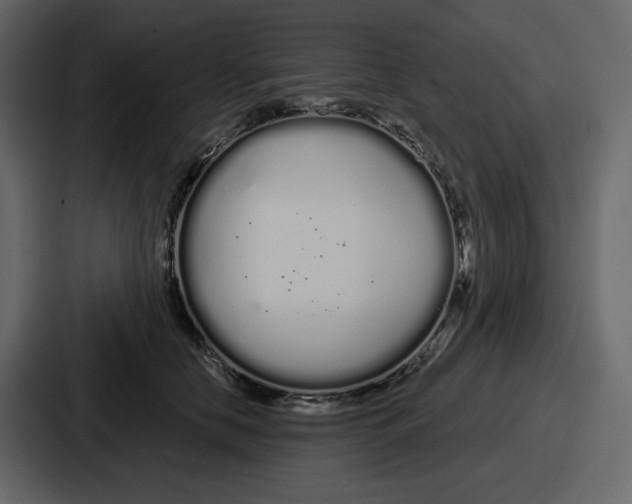 X0000086780658200705111756