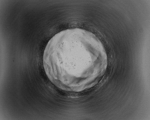 X0000086780659200705111756