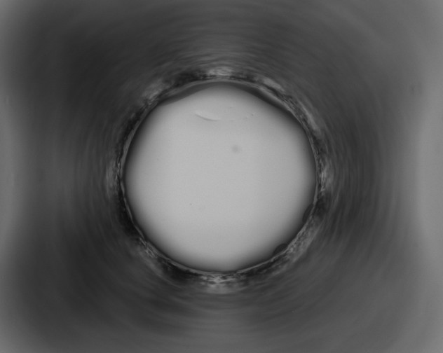 X0000086780660200705111756