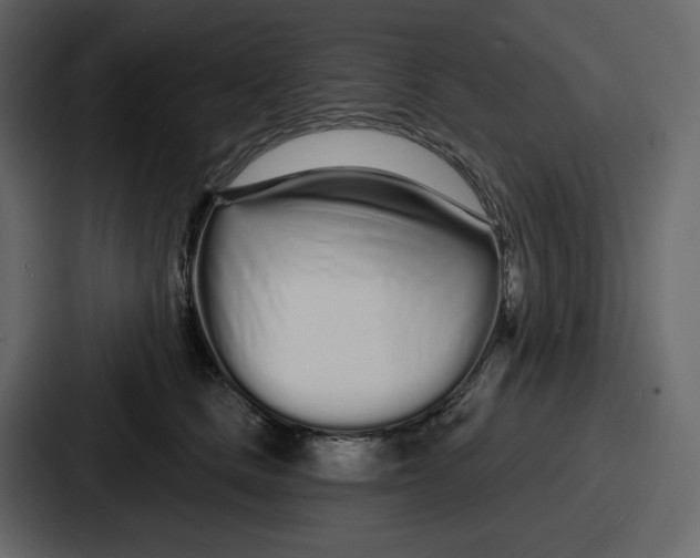 X0000086780661200705111756