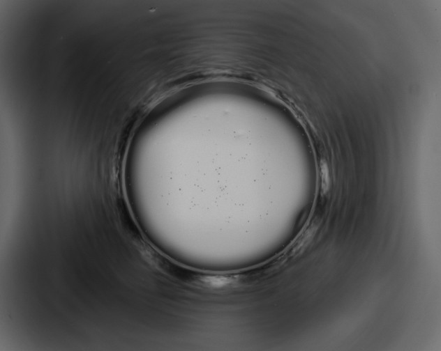 X0000086780662200705111756