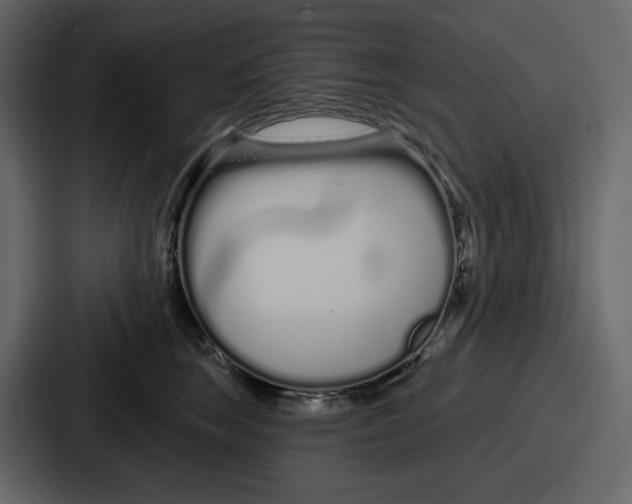 X0000086780663200705111756