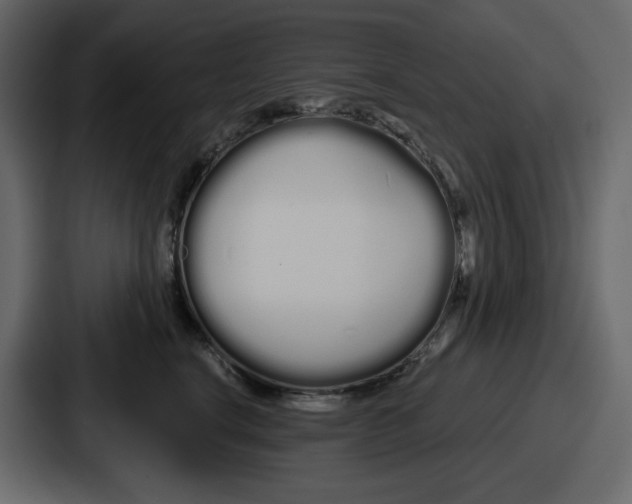 X0000086780664200705111756