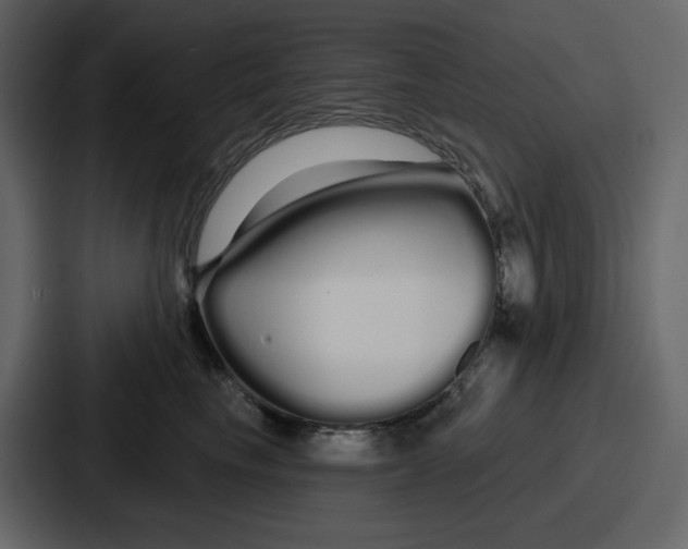 X0000086780665200705111756