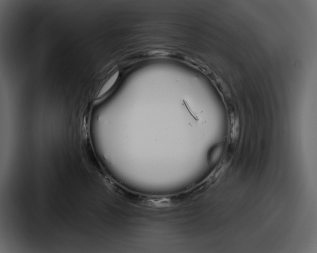 X0000086780666200705111756