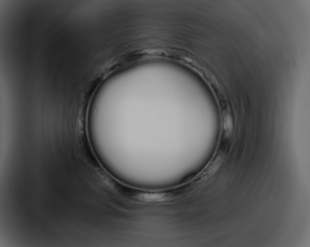 X0000086780668200705111756