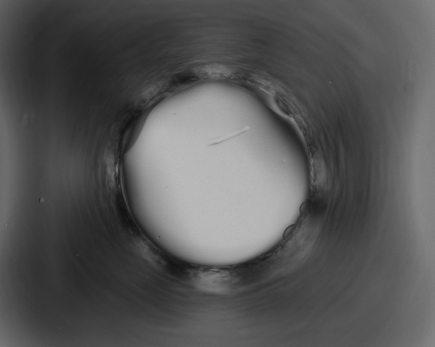 X0000086780669200705111756