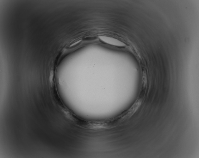 X0000086780670200705111756