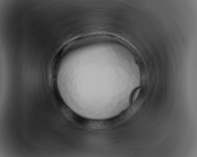 X0000086780671200705111756