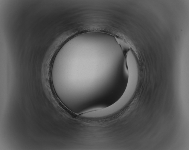 X0000086780673200705111755