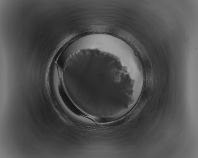 X0000086780674200705111755