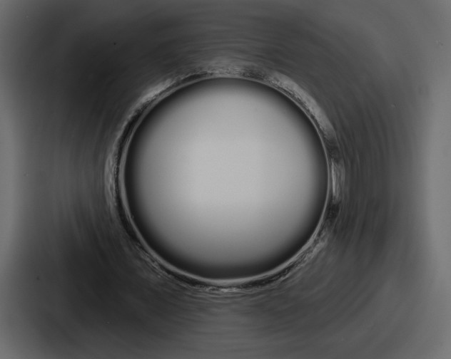 X0000086780675200705111755