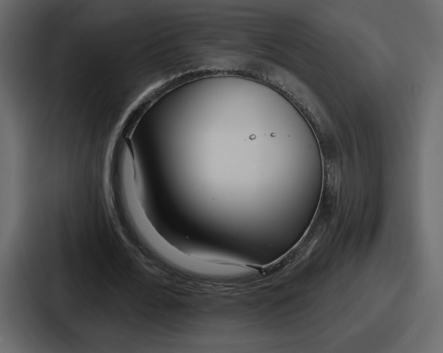 X0000086780676200705111755