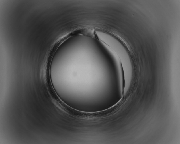 X0000086780677200705111755