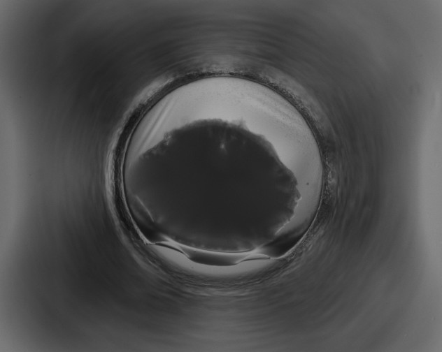 X0000086780678200705111755