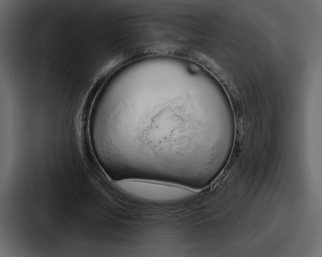 X0000086780679200705111755