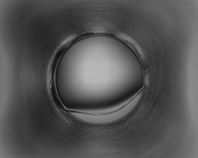 X0000086780680200705111755