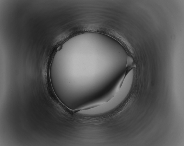 X0000086780681200705111755