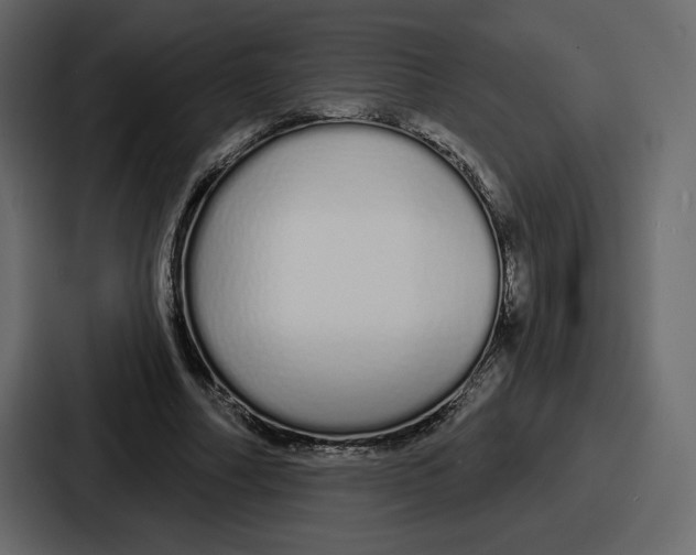 X0000086780682200705111755